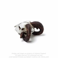 Best Rams Skull - Mini koriste esine Pääkallokamaa|Koriste-Esineet