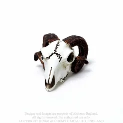 Best Rams Skull - Mini koriste esine Pääkallokamaa|Koriste-Esineet
