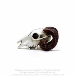 Best Rams Skull - Mini koriste esine Pääkallokamaa|Koriste-Esineet