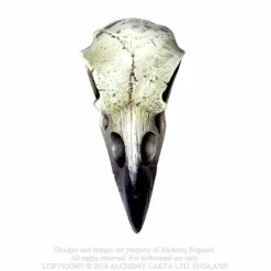 Clearance Raven Skull - Koriste esine Keltti & Viikinki|Pääkallokamaa