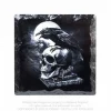 Alchemy Poe's Raven - Lasinalunen Lasinaluset