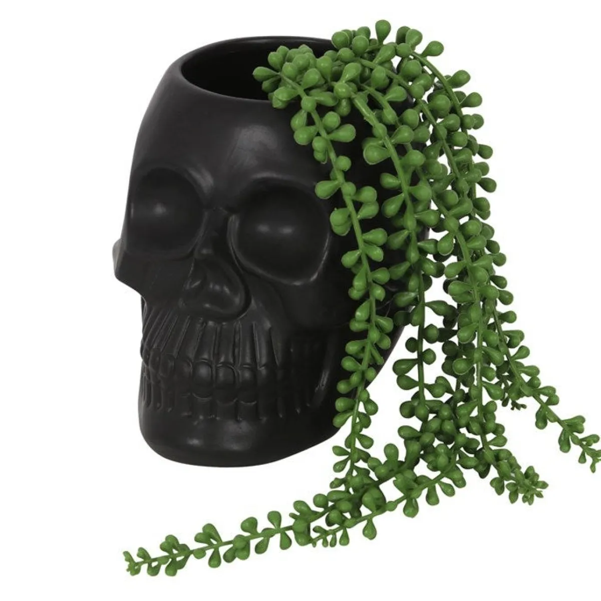 Discount Black Skull - Kukkaruukku Goottikamaa|Koriste-Esineet