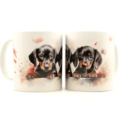 Best Dachshund Puppies I -Muki Koiramukit