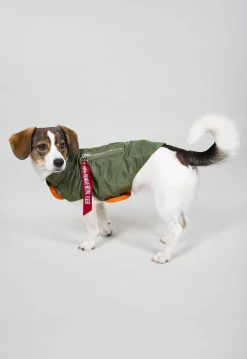 Dog MA-1 Jacket- koiran takki Muut Tarvikkeet|Lemmikkitarvikkeet