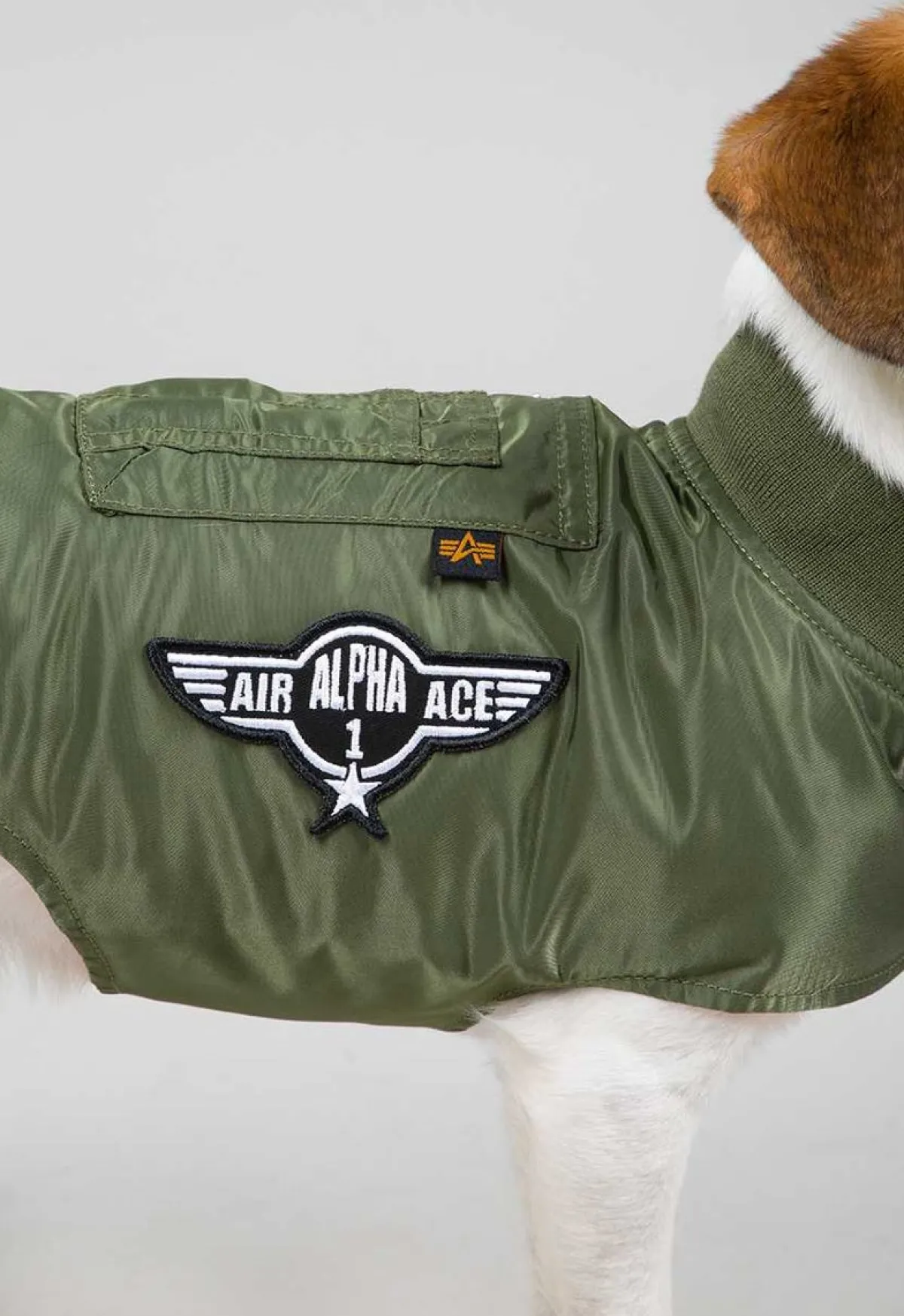 Dog MA-1 Jacket- koiran takki Muut Tarvikkeet|Lemmikkitarvikkeet