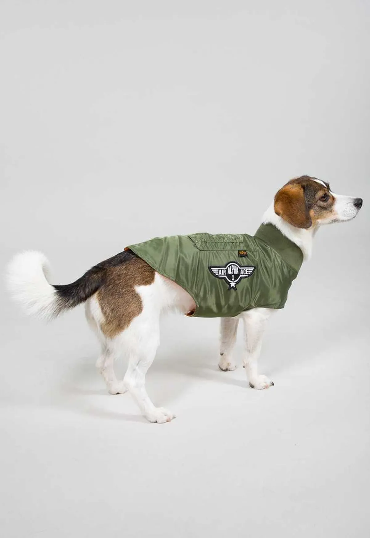 Dog MA-1 Jacket- koiran takki Muut Tarvikkeet|Lemmikkitarvikkeet