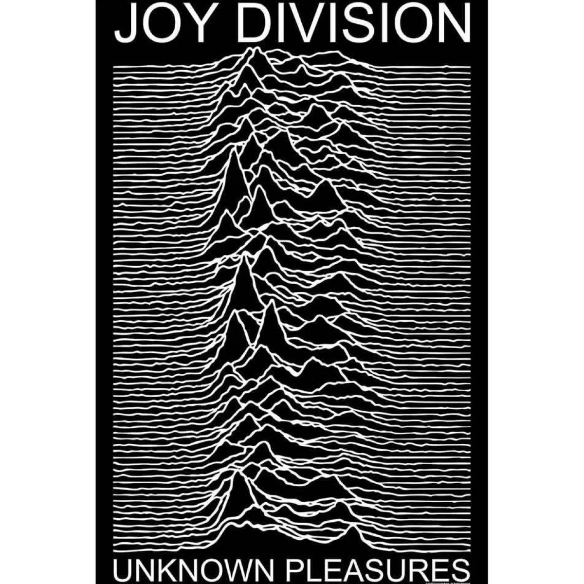 Online Joy Division: Unknown pleasures - Seinälippu Seinäliput|Punk!