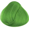 Discount La Riche hiusvärit - Spring Green Shokkihiusvärit