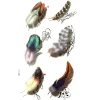 Clearance Love Feathers - siirtotatuointi Siirtotatuoinnit