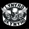 Clearance Lynyrd Skynyrd Biker Patch - Lasinalunen Lynyrd Skynyrd|Lasinaluset