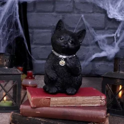 Sale Cattitude - Koriste Kissateema|Koriste-Esineet