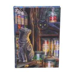 Discount Magical Emporium - A5 Muistikirja Kissateema|Toimistotarvikkeet