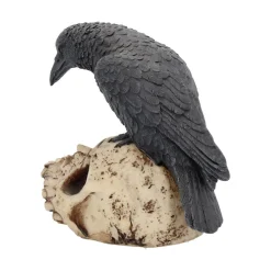 Outlet Ravens Remains - Koriste Keltti & Viikinki|Koriste-Esineet