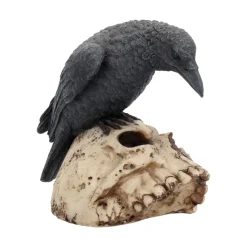 Outlet Ravens Remains - Koriste Keltti & Viikinki|Koriste-Esineet