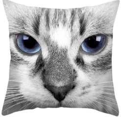 Ragdoll Cat - Koristetyynynpäällinen Kissateema|Sisustustekstiilit