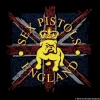 Discount Sex Pistols Bulldog & flag - Lasinalunen Punk!|Sex Pistols