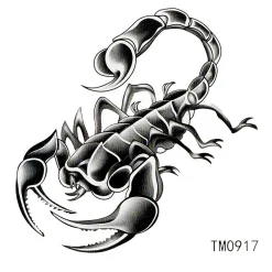 Skorpioni - siirtotatuointi Siirtotatuoinnit